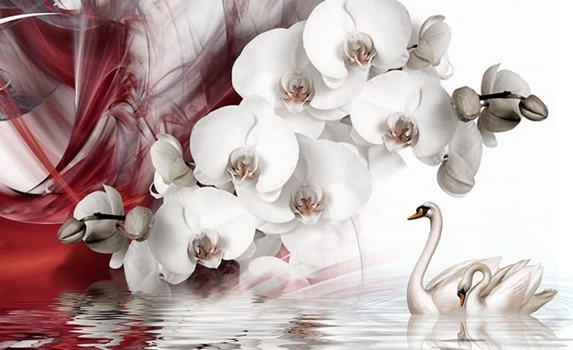 Swan and White Orchid with Red Smoke Pattern Wallpaper Mural