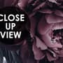 Dark Floral Claret Peony Floral Wallpaper Mural
