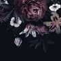 Dark Floral Claret Peony Floral Wallpaper Mural
