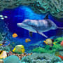 Undersea with Colorful Fish Wallpaper Mural