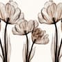 Fototapete mit transparenter Blumenkunst