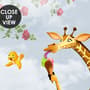 Cartoon Slackline with Animals Wallpaper Mural