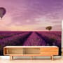 Serene Sunset Lavender and Balloon Landscape Wallpaper Mural