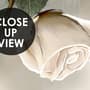 Beautiful White Roses and Butterflies Wallpaper Mural