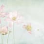 Papier peint panoramique de fleurs de lotus rose clair