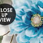 Watercolor Bohemian Floral Wallpaper Mural