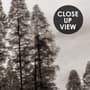 Monochrome Dunkler Wald und See Fototapete