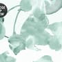 Soft Green Blossom Wallpaper Mural