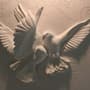 3D Embossed Look Cement Pigeons Wallpaper Mural
