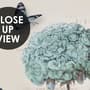 Light Blue Hydrangea Flowers and Butterflies Wallpaper Mural