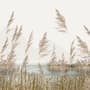Fototapete Wiese mit Seelandschaft