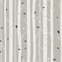 White Tree Branches Wallpaper Mural