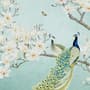 Pfau mit Magnolienblüte Fototapete