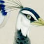 Pfau mit Magnolienblüte Fototapete