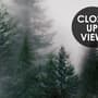 Dark Forest Misty Landscape Wallpaper Mural
