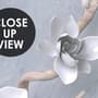 Artistic Magnolia Flowers and Branches Wallpaper Mural