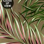 Charcoal Banana and Palm Leaves Wallpaper Mural