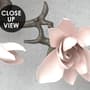 3D Look Pink Magnolia Blossom Wallpaper Mural