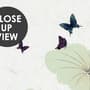 Watercolor Lotus Flower and Butterflies Wallpaper Mural
