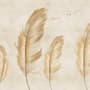 Brown Feather Wallpaper Mural