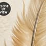 Brown Feather Wallpaper Mural