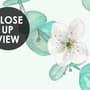 Plum Blossom with Leaves Wallpaper Mural