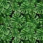 Green Tropical Leaves Wallpaper Mural