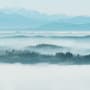 Misty Forest Landscape Wallpaper Mural