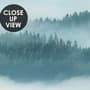 Misty Forest Landscape Wallpaper Mural