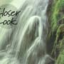 Waterfall with Misty Green Forest Landscape Wallpaper Mural