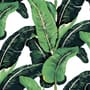 Green Banana Leaf Pattern Wallpaper Mural