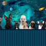 Cartoon Space with Different Dog Wallpaper Mural