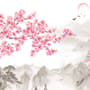Cherry Blossom with Mountain Landscape Wallpaper Mural