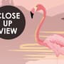 Pink Sunrise Landscape with Flamingos Wallpaper Mural