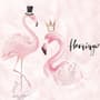 Powder Pink Flamingo Wallpaper Mural