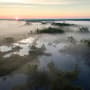 Foggy Rive Forest Landscape Wallpaper Mural