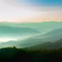 Misty Mountain Green Forest Scenic Wallpaper Mural