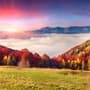Colorful Nature Autumn Wallpaper Mural