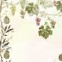 Soft Tropical Grape Trees and Durian Fruits Wallpaper Mural