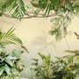 Magical Tropical Rainforest Wallpaper Mural