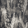 Dark Feather Monochrome Wallpaper Mural