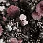 Papier peint panoramique floral foncé avec chrysanthème rose