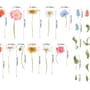 Colorful Wildflowers Wall Decal Sticker
