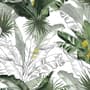 Charcoal Banana Leaf Wallpaper Wallpaper Mural