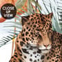 Kids Watercolor Forest with Leopard Wild Animals Wallpaper Mural