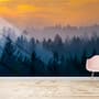 Misty Pine Forest Landscape Wallpaper Mural