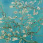 Van Gogh Mandelblüten Fototapete
