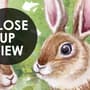 Kids Woodland Animals in the Forest Wallpaper Mural