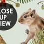 Nursery Watercolor Cute Forest Animals Pattern Wallpaper Mural