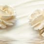 Cream Rose Floral with Water Pattern Wallpaper Mural